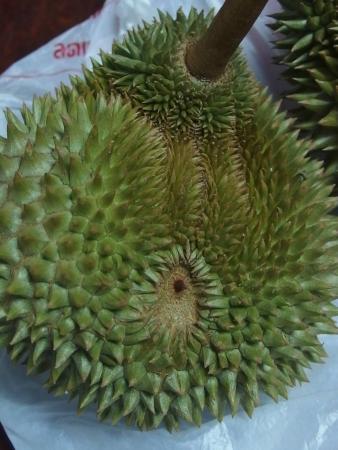 Suan Paiboon